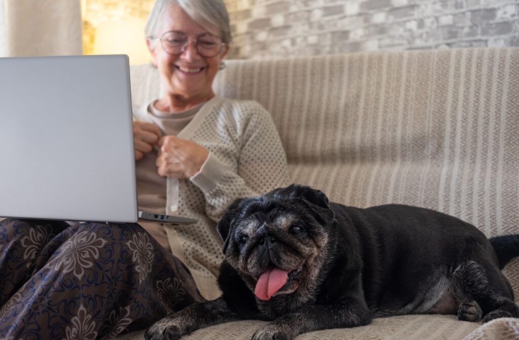 Senior sitting on the couch with their dog.